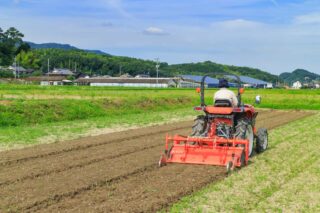 農地だけを相続放棄することはできる？不要な農地を手放す際の注意点とは_サムネイル